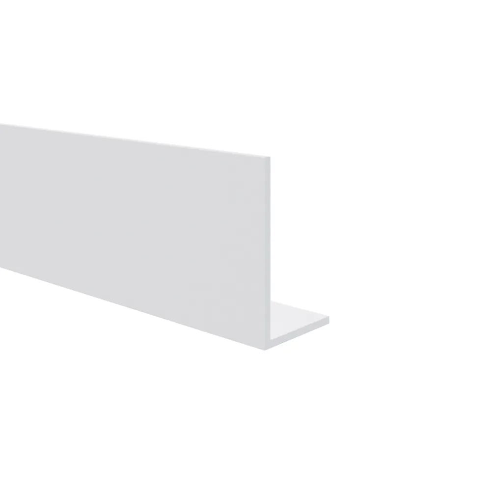 Hoekprofiel 40x20x2 mm