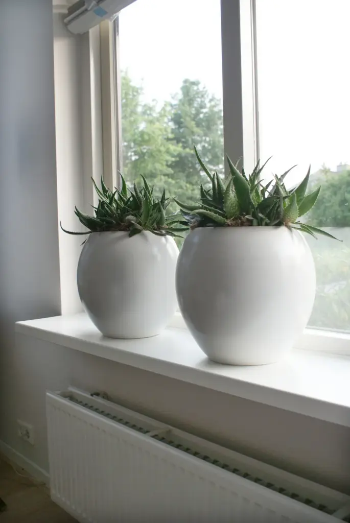 Eindkap univers.Lignodur overz.vensterb.